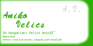 aniko velics business card
